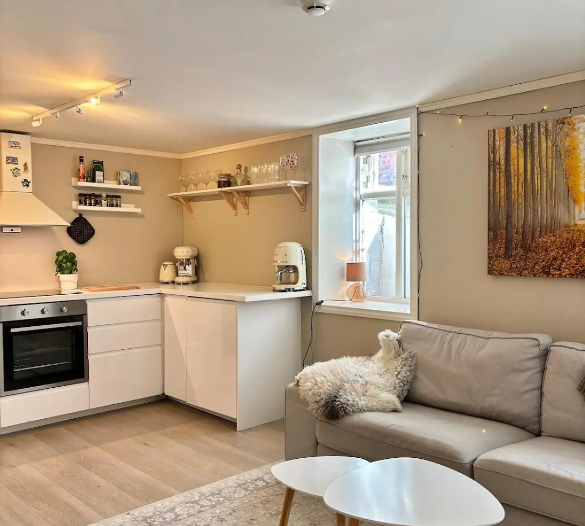 Apartment Behind Bryggen In Bergen